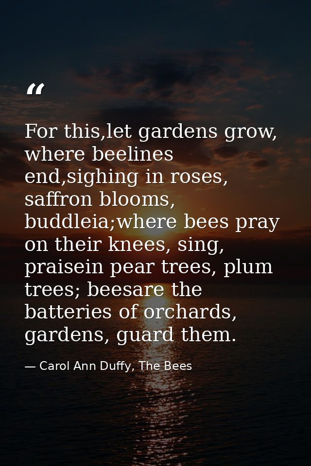 For this,let gardens grow, where beelines end,sighing in roses, saffron blooms, buddleia;where bees pray on their knees, — Carol Ann Duffy, The Bees