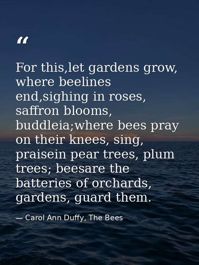 For this,let gardens grow, where beelines end,sighing in roses, saffron blooms, buddleia;where bees pray on their knees, — Carol Ann Duffy, The Bees