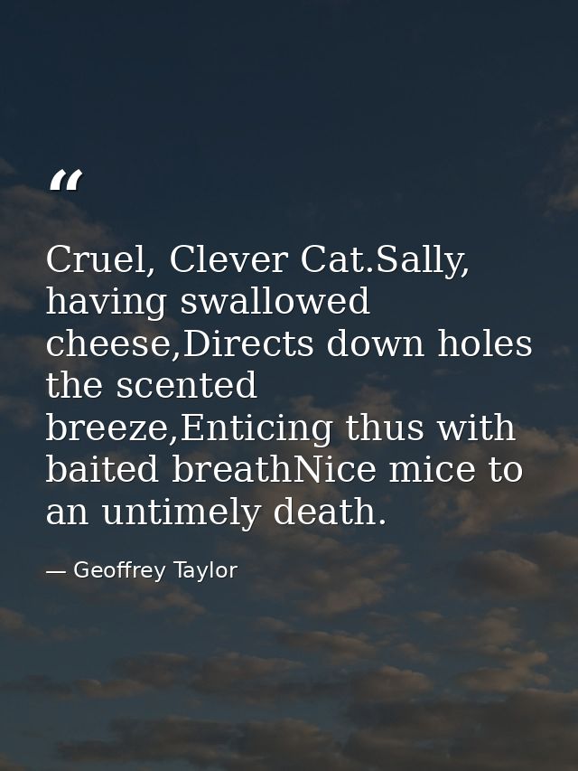 Cruel, Clever Cat.Sally, having swallowed cheese,Directs down holes the scented breeze,Enticing thus with baited breathN — Geoffrey Taylor