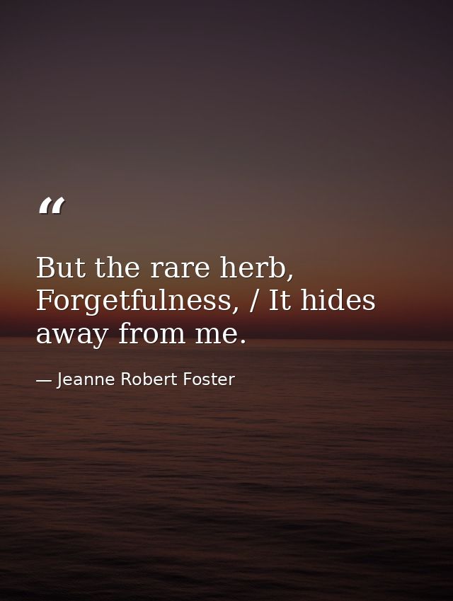 But the rare herb, Forgetfulness, / It hides away from me. — Jeanne Robert Foster