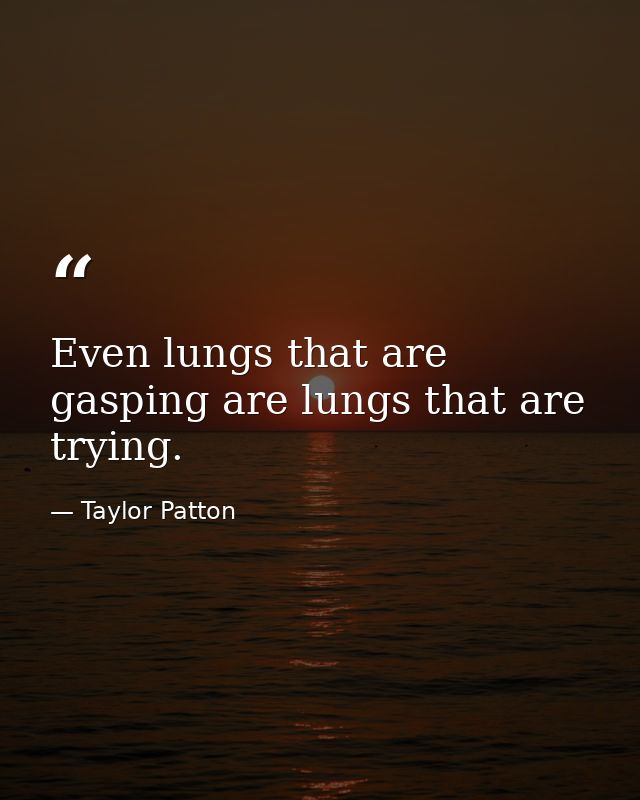 Even lungs that are gasping are lungs that are trying. — Taylor Patton
