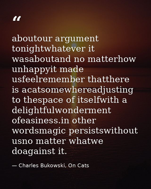 aboutour argument tonightwhatever it wasaboutand no matterhow unhappyit made usfeelremember thatthere is acatsomewheread — Charles Bukowski, On Cats