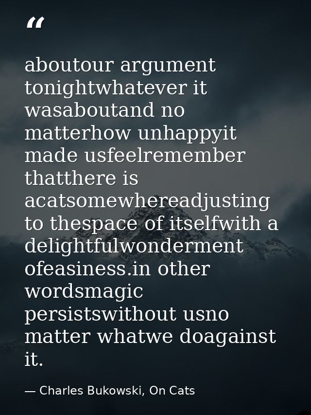 aboutour argument tonightwhatever it wasaboutand no matterhow unhappyit made usfeelremember thatthere is acatsomewheread — Charles Bukowski, On Cats