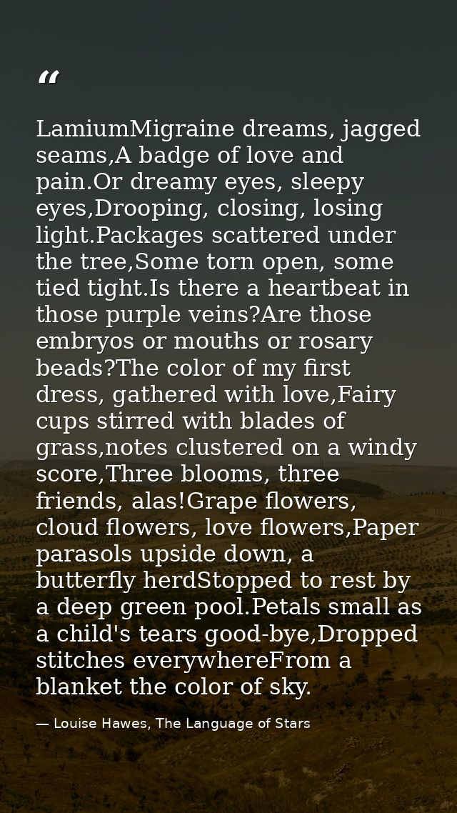 LamiumMigraine dreams, jagged seams,A badge of love and pain.Or dreamy eyes, sleepy eyes,Drooping, closing, losing light — Louise Hawes, The Language of Stars