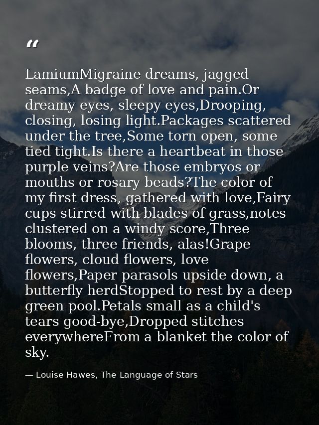LamiumMigraine dreams, jagged seams,A badge of love and pain.Or dreamy eyes, sleepy eyes,Drooping, closing, losing light — Louise Hawes, The Language of Stars