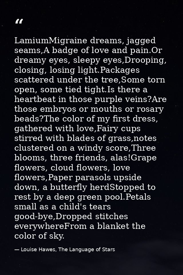 LamiumMigraine dreams, jagged seams,A badge of love and pain.Or dreamy eyes, sleepy eyes,Drooping, closing, losing light — Louise Hawes, The Language of Stars