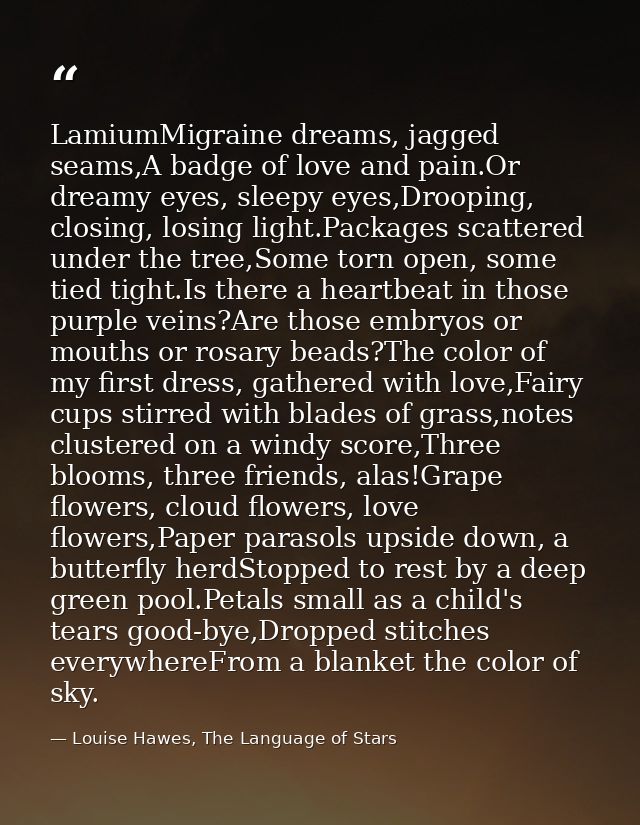 LamiumMigraine dreams, jagged seams,A badge of love and pain.Or dreamy eyes, sleepy eyes,Drooping, closing, losing light — Louise Hawes, The Language of Stars