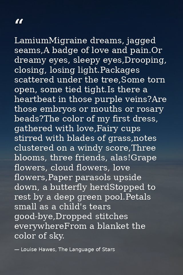 LamiumMigraine dreams, jagged seams,A badge of love and pain.Or dreamy eyes, sleepy eyes,Drooping, closing, losing light — Louise Hawes, The Language of Stars