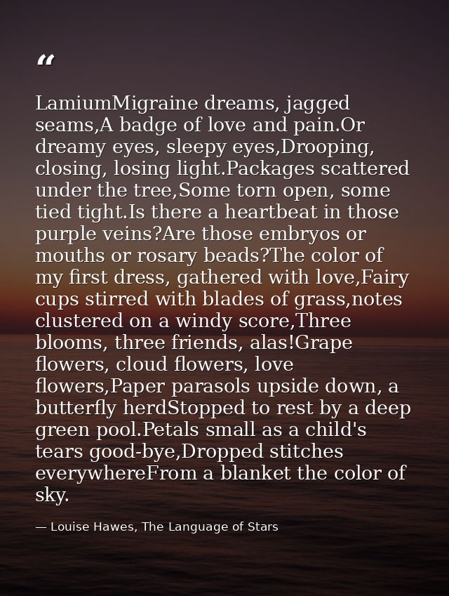 LamiumMigraine dreams, jagged seams,A badge of love and pain.Or dreamy eyes, sleepy eyes,Drooping, closing, losing light — Louise Hawes, The Language of Stars