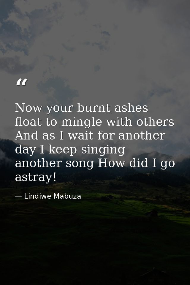 Now your burnt ashes float to mingle with others And as I wait for another day I keep singing another song How did I go  — Lindiwe Mabuza