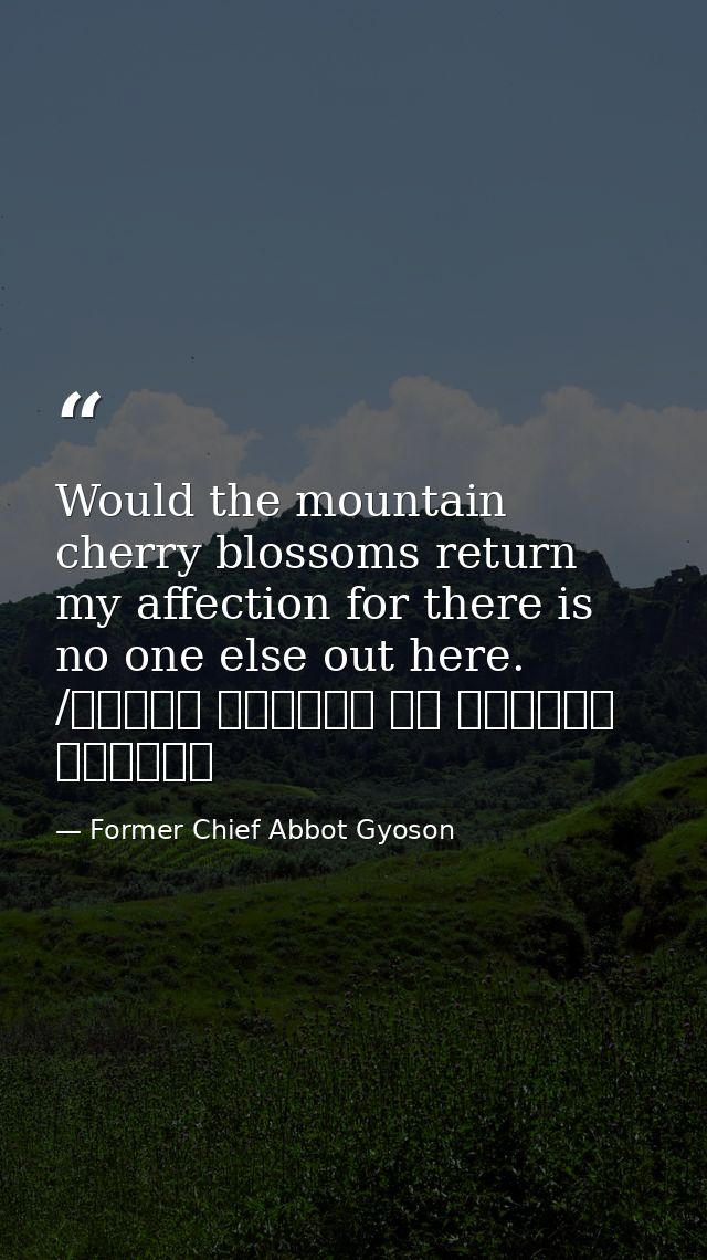 Would the mountain cherry blossoms return my affection for there is no one else out here. /もろともに あはれと思へ 山桜 花よりほかに 知る人もなし — Former Chief Abbot Gyoson