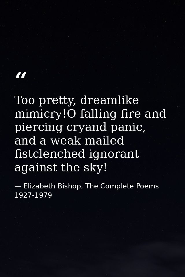 Too pretty, dreamlike mimicry!O falling fire and piercing cryand panic, and a weak mailed fistclenched ignorant against  — Elizabeth Bishop, The Complete Poems 1927-1979