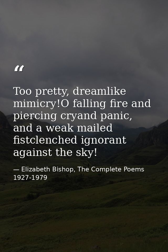 Too pretty, dreamlike mimicry!O falling fire and piercing cryand panic, and a weak mailed fistclenched ignorant against  — Elizabeth Bishop, The Complete Poems 1927-1979