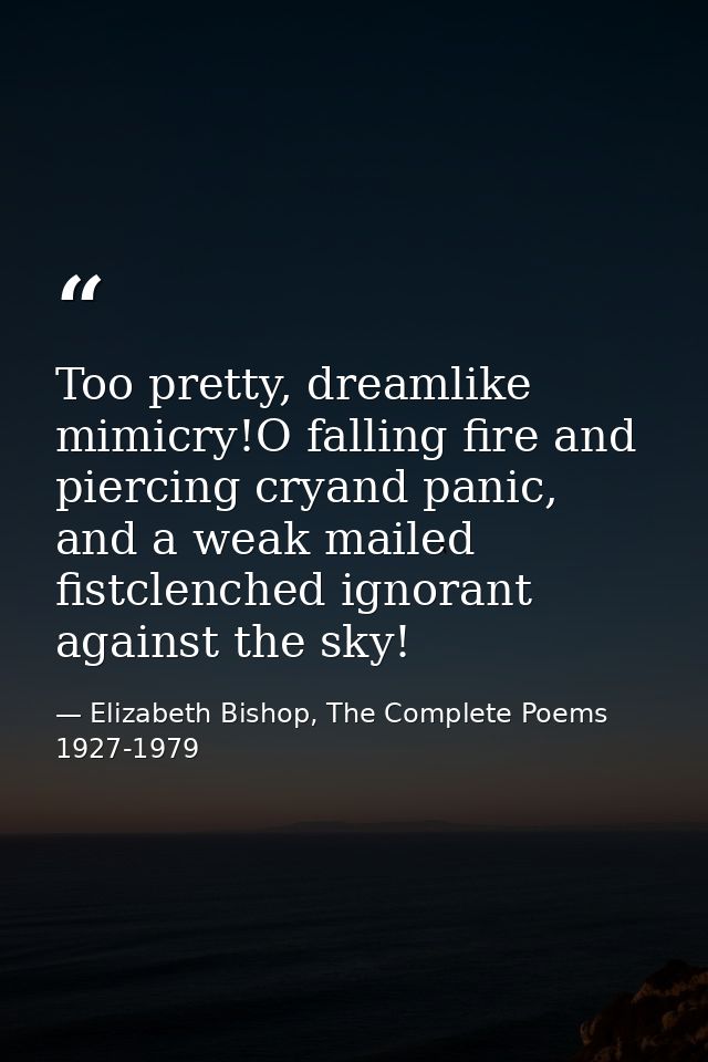 Too pretty, dreamlike mimicry!O falling fire and piercing cryand panic, and a weak mailed fistclenched ignorant against  — Elizabeth Bishop, The Complete Poems 1927-1979