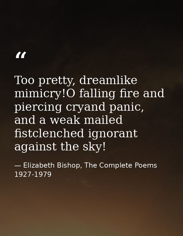 Too pretty, dreamlike mimicry!O falling fire and piercing cryand panic, and a weak mailed fistclenched ignorant against  — Elizabeth Bishop, The Complete Poems 1927-1979