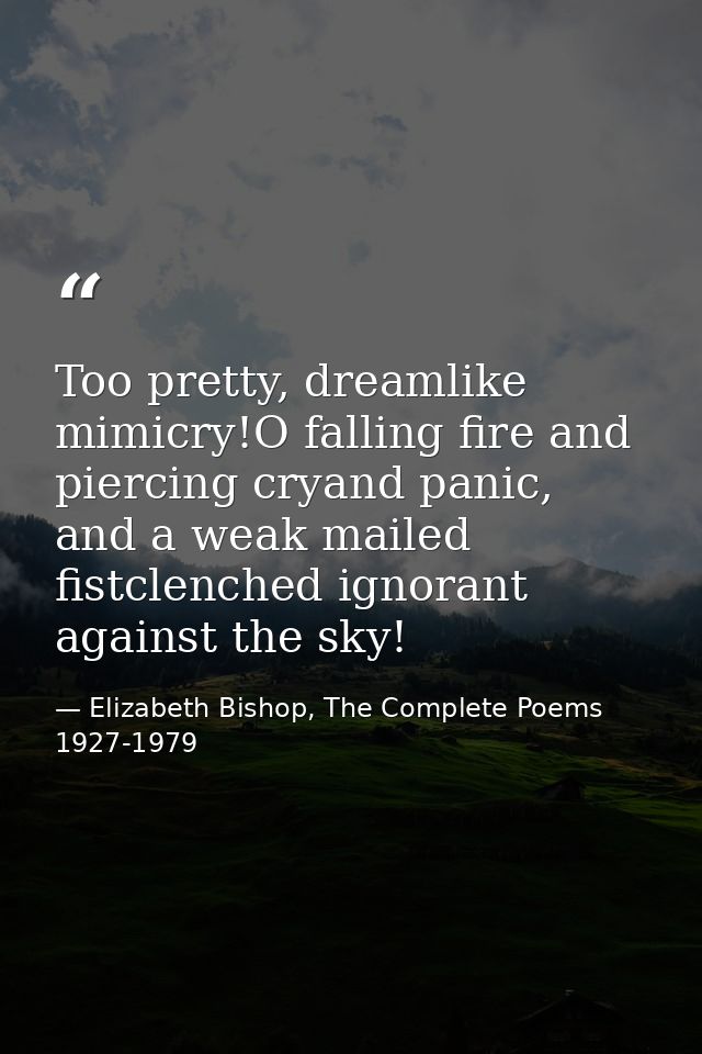 Too pretty, dreamlike mimicry!O falling fire and piercing cryand panic, and a weak mailed fistclenched ignorant against  — Elizabeth Bishop, The Complete Poems 1927-1979