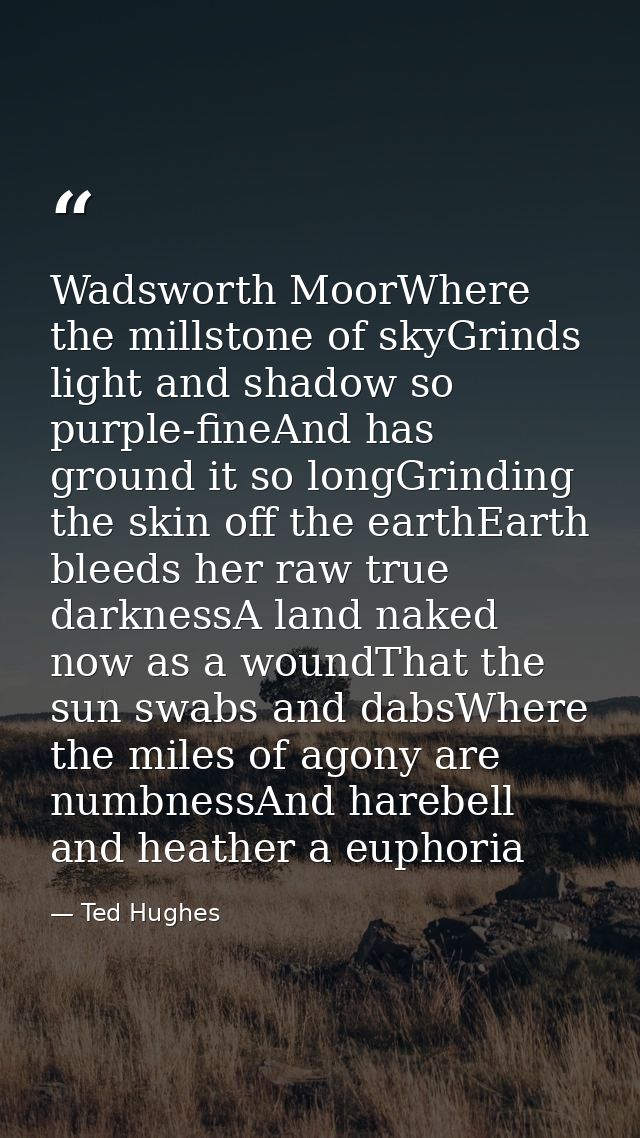 Wadsworth MoorWhere the millstone of skyGrinds light and shadow so purple-fineAnd has ground it so longGrinding the skin — Ted Hughes