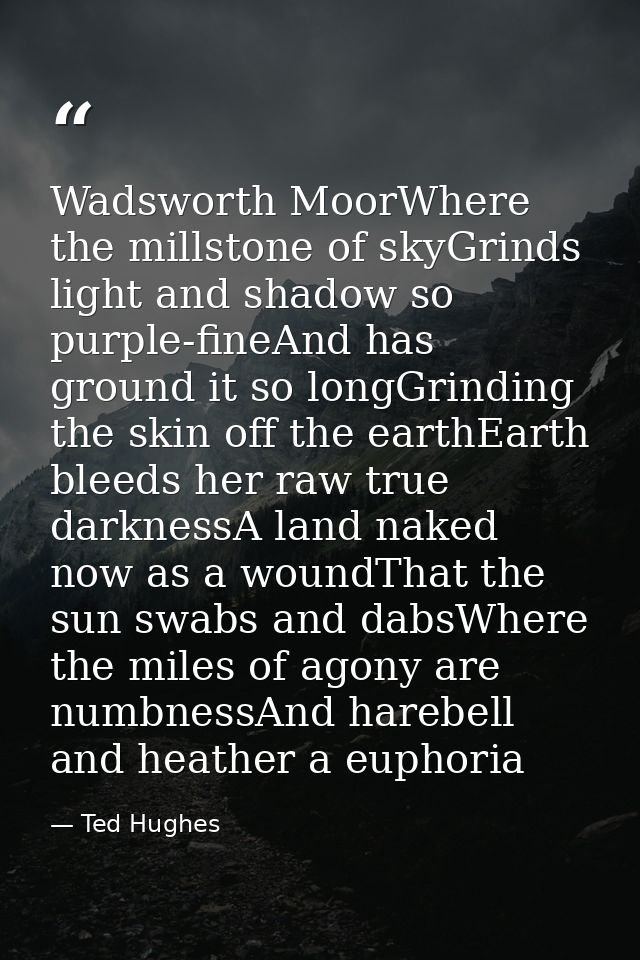 Wadsworth MoorWhere the millstone of skyGrinds light and shadow so purple-fineAnd has ground it so longGrinding the skin — Ted Hughes
