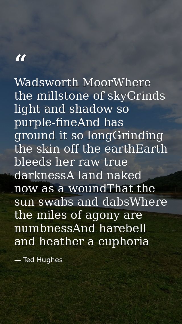Wadsworth MoorWhere the millstone of skyGrinds light and shadow so purple-fineAnd has ground it so longGrinding the skin — Ted Hughes