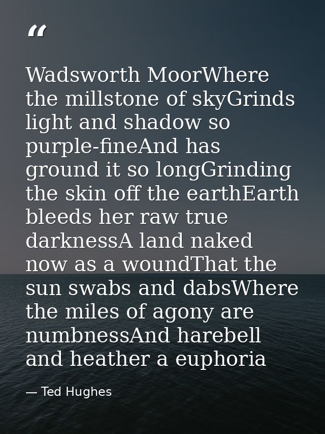 Wadsworth MoorWhere the millstone of skyGrinds light and shadow so purple-fineAnd has ground it so longGrinding the skin — Ted Hughes