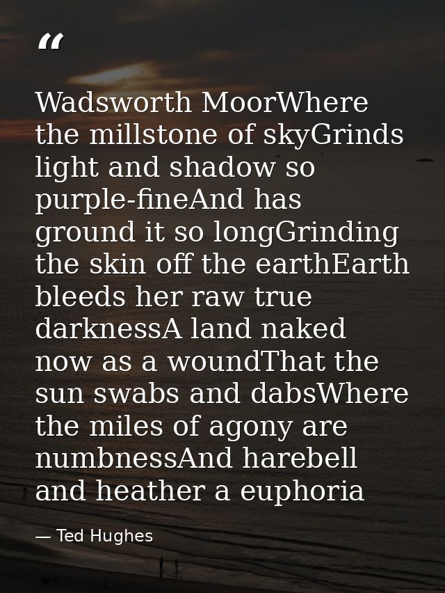 Wadsworth MoorWhere the millstone of skyGrinds light and shadow so purple-fineAnd has ground it so longGrinding the skin — Ted Hughes