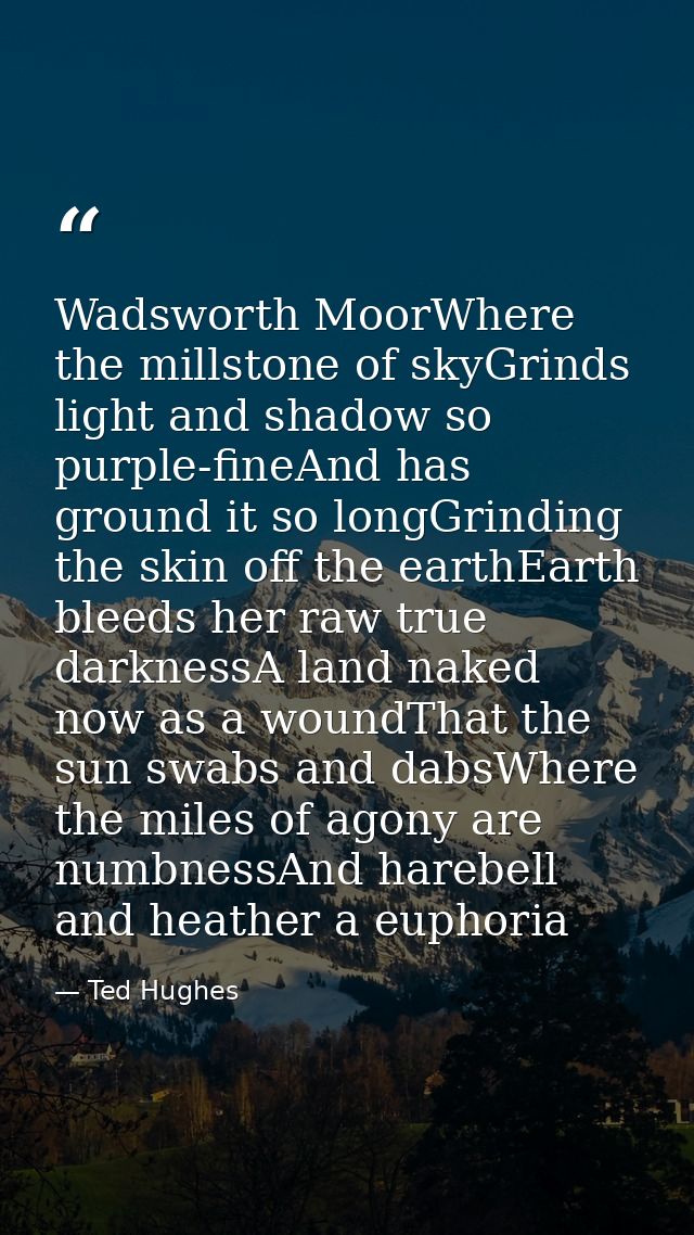 Wadsworth MoorWhere the millstone of skyGrinds light and shadow so purple-fineAnd has ground it so longGrinding the skin — Ted Hughes