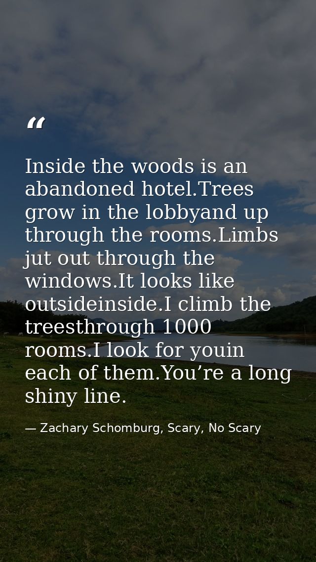 Inside the woods is an abandoned hotel.Trees grow in the lobbyand up through the rooms.Limbs jut out through the windows — Zachary Schomburg, Scary, No Scary