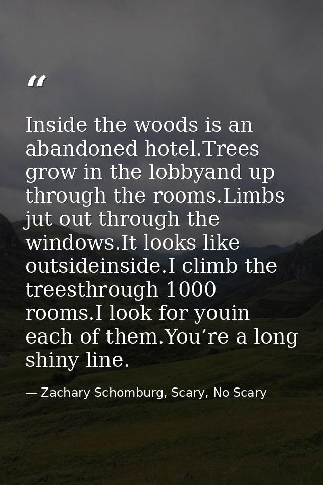 Inside the woods is an abandoned hotel.Trees grow in the lobbyand up through the rooms.Limbs jut out through the windows — Zachary Schomburg, Scary, No Scary