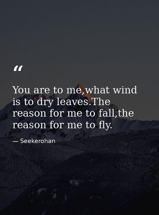 You are to me,what wind is to dry leaves.The reason for me to fall,the reason for me to fly. — Seekerohan