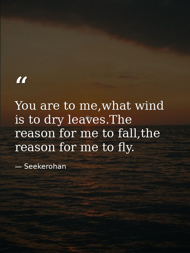 You are to me,what wind is to dry leaves.The reason for me to fall,the reason for me to fly. — Seekerohan