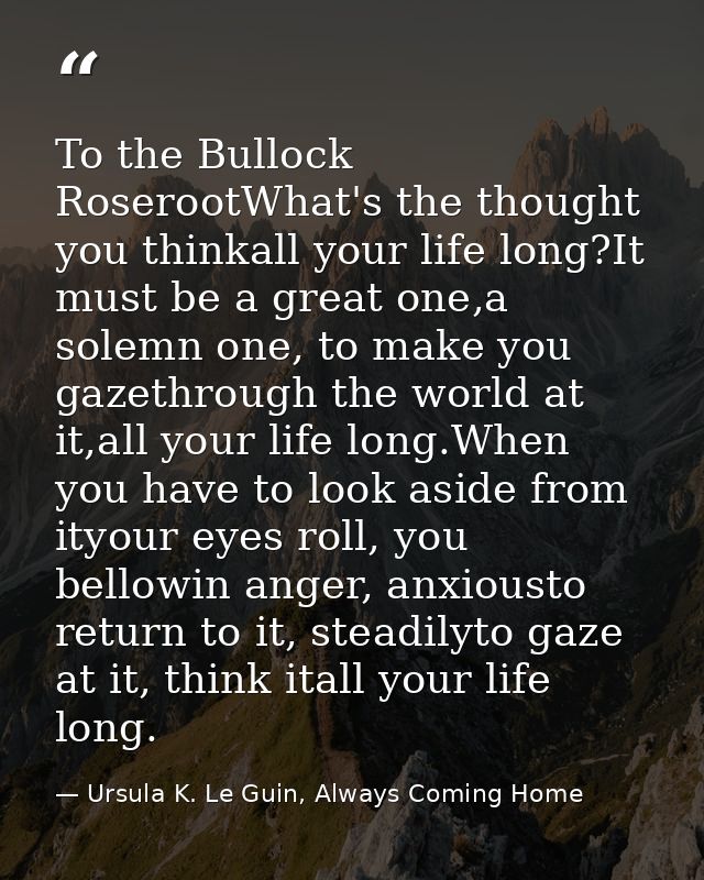 To the Bullock RoserootWhat's the thought you thinkall your life long?It must be a great one,a solemn one, to make you g — Ursula K. Le Guin, Always Coming Home