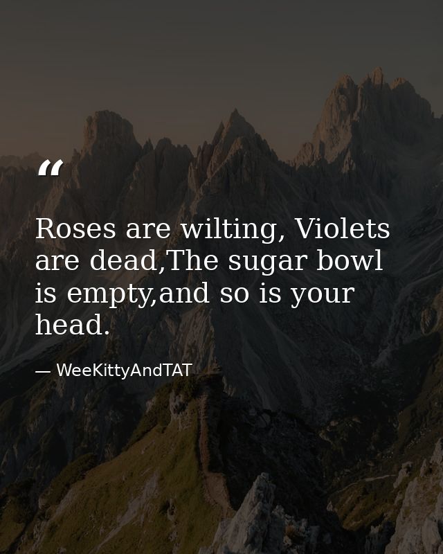 Roses are wilting, Violets are dead,The sugar bowl is empty,and so is your head. — WeeKittyAndTAT