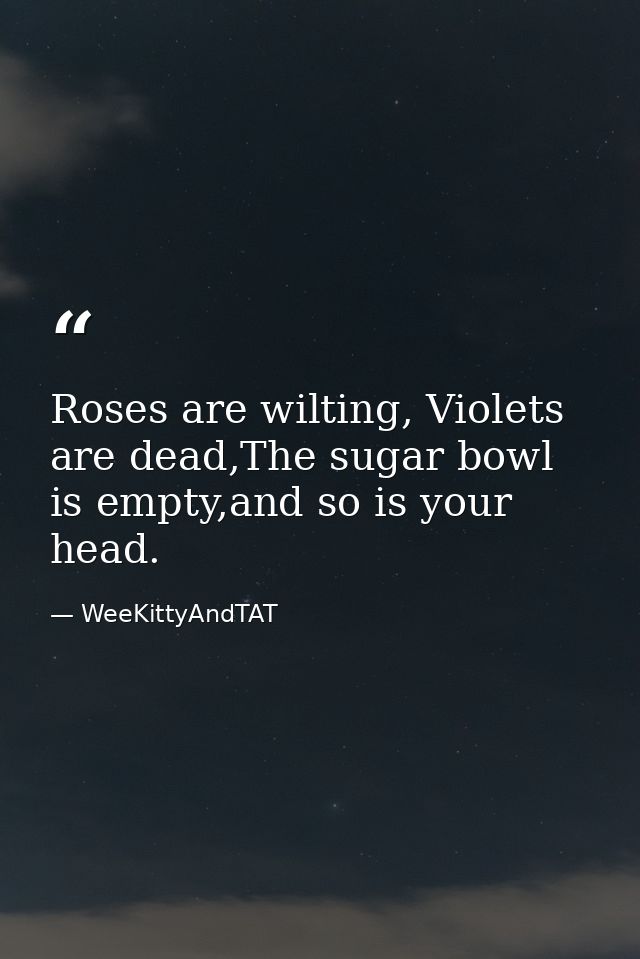 Roses are wilting, Violets are dead,The sugar bowl is empty,and so is your head. — WeeKittyAndTAT