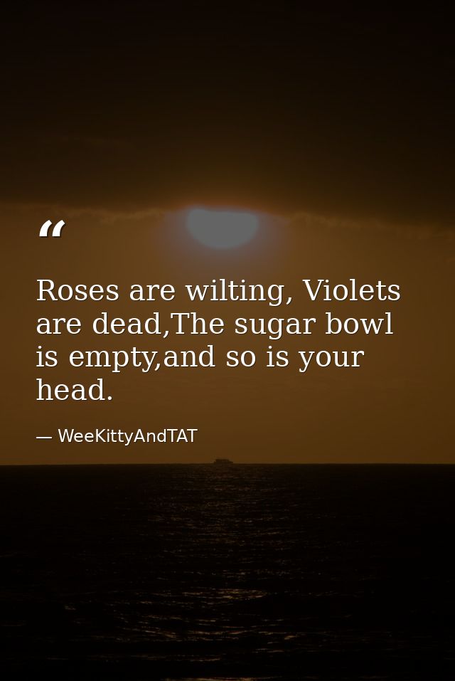 Roses are wilting, Violets are dead,The sugar bowl is empty,and so is your head. — WeeKittyAndTAT