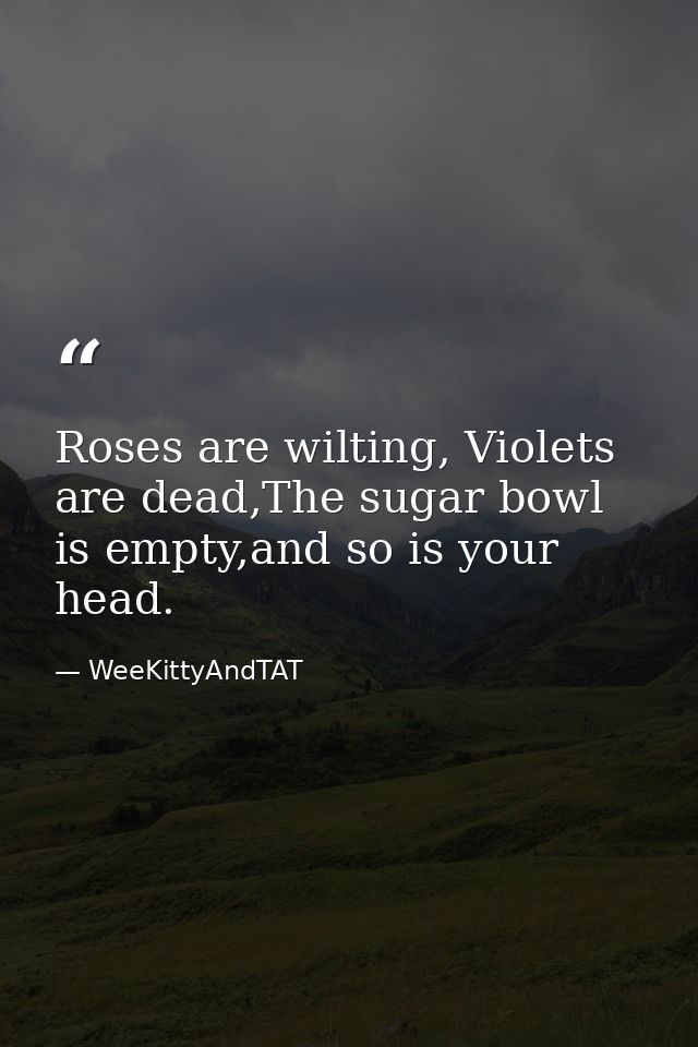 Roses are wilting, Violets are dead,The sugar bowl is empty,and so is your head. — WeeKittyAndTAT