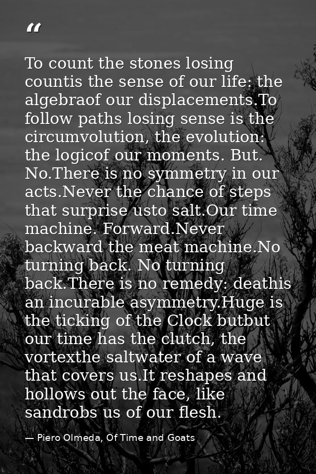 To count the stones losing countis the sense of our life: the algebraof our displacements.To follow paths losing sense i — Piero Olmeda, Of Time and Goats