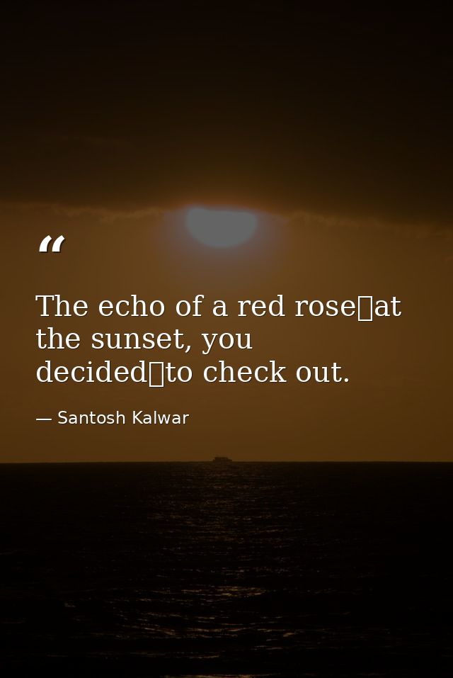 The echo of a red rose at the sunset, you decided to check out. — Santosh Kalwar