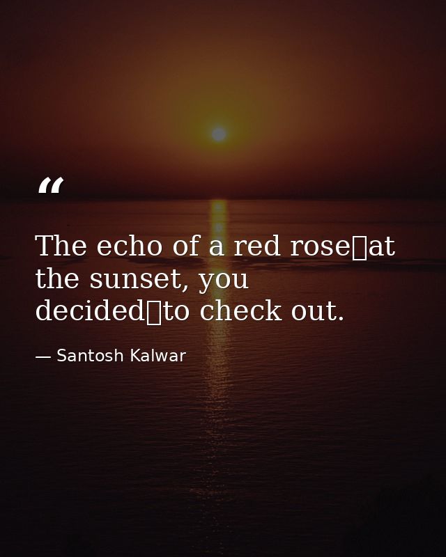 The echo of a red rose at the sunset, you decided to check out. — Santosh Kalwar