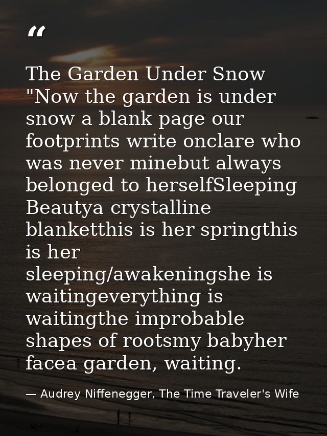 The Garden Under Snow "Now the garden is under snow a blank page our footprints write onclare who was never minebut alwa — Audrey Niffenegger, The Time Traveler's Wife