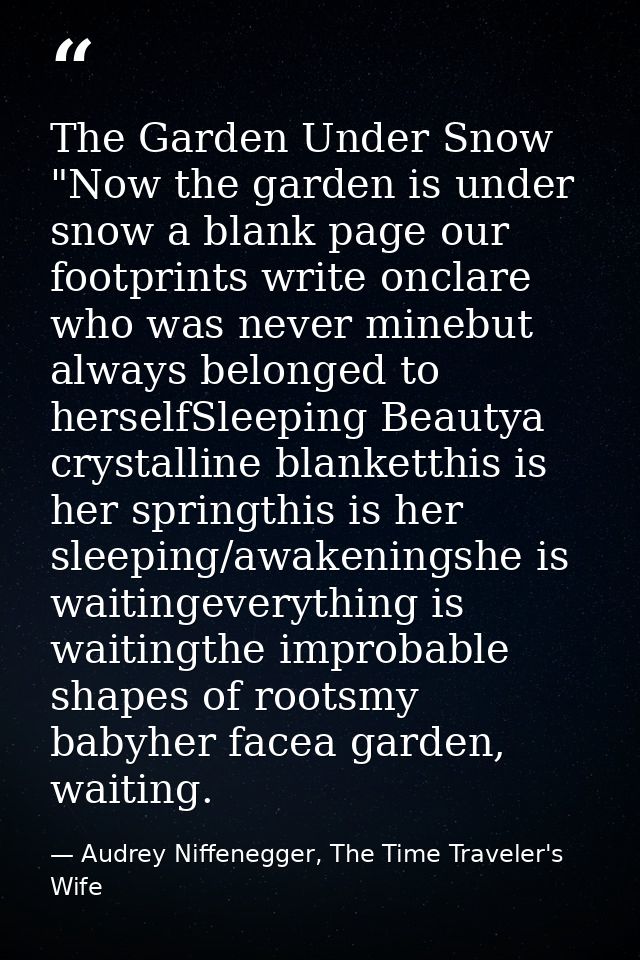 The Garden Under Snow "Now the garden is under snow a blank page our footprints write onclare who was never minebut alwa — Audrey Niffenegger, The Time Traveler's Wife