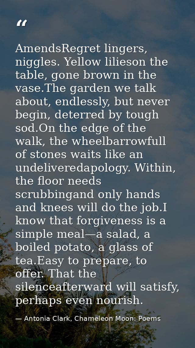 AmendsRegret lingers, niggles. Yellow lilieson the table, gone brown in the vase.The garden we talk about, endlessly, bu — Antonia Clark, Chameleon Moon: Poems