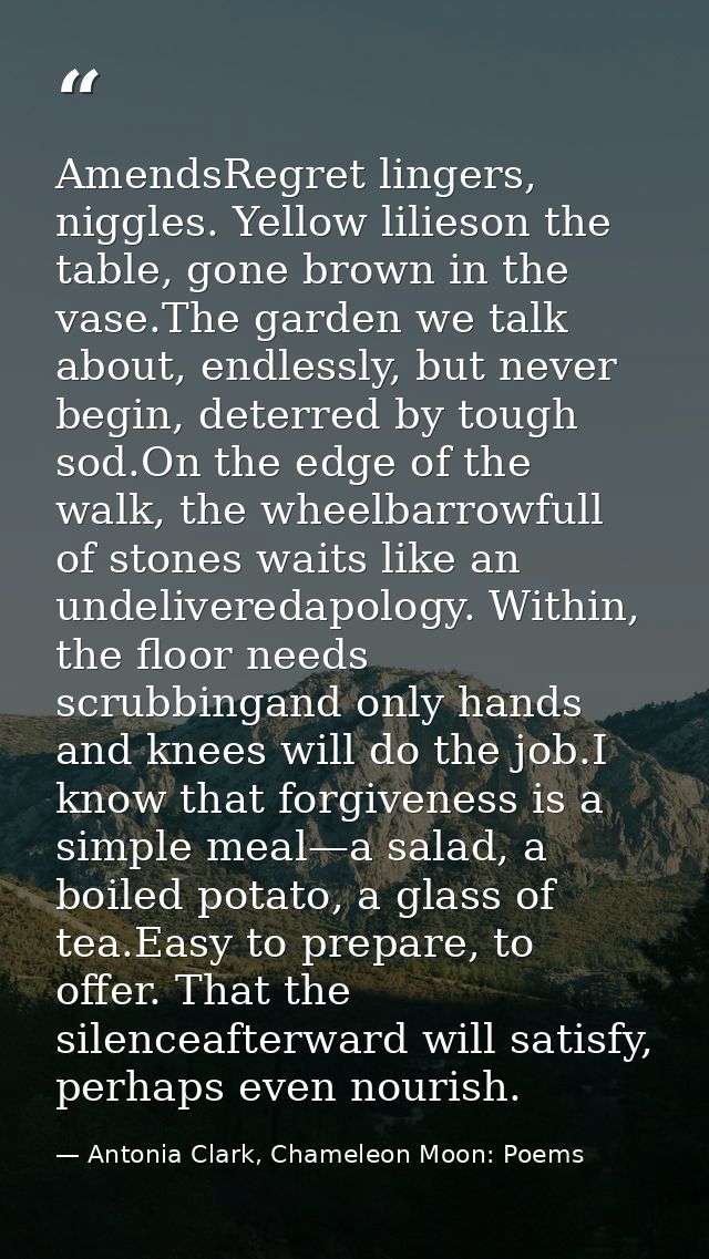 AmendsRegret lingers, niggles. Yellow lilieson the table, gone brown in the vase.The garden we talk about, endlessly, bu — Antonia Clark, Chameleon Moon: Poems