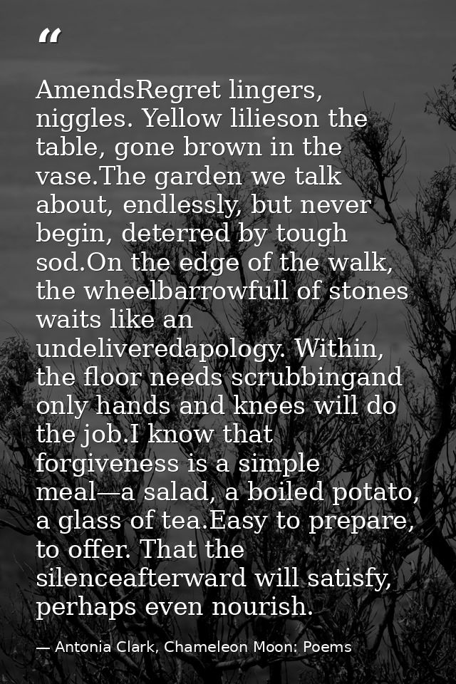 AmendsRegret lingers, niggles. Yellow lilieson the table, gone brown in the vase.The garden we talk about, endlessly, bu — Antonia Clark, Chameleon Moon: Poems