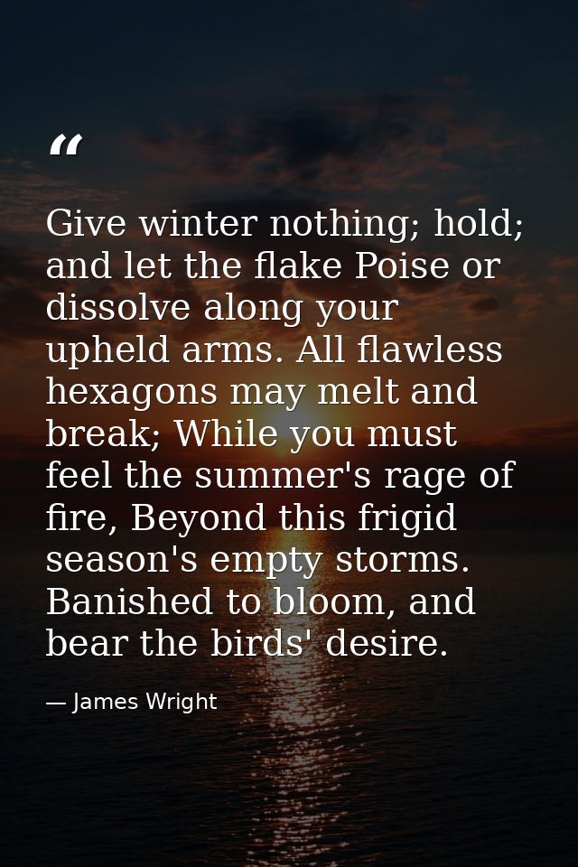 Give winter nothing; hold; and let the flake Poise or dissolve along your upheld arms. All flawless hexagons may melt an — James Wright