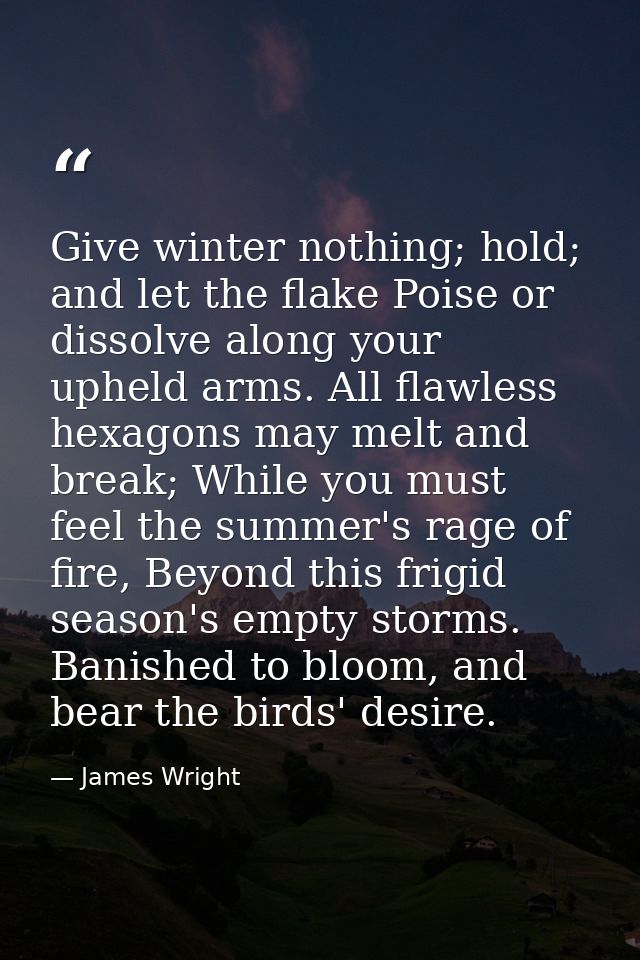 Give winter nothing; hold; and let the flake Poise or dissolve along your upheld arms. All flawless hexagons may melt an — James Wright