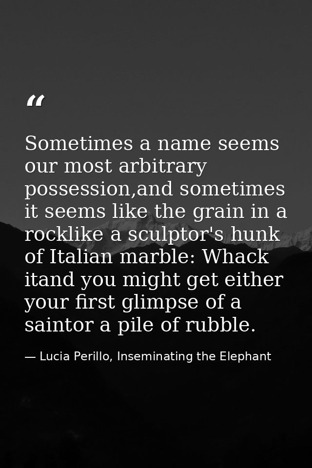 Sometimes a name seems our most arbitrary possession,and sometimes it seems like the grain in a rocklike a sculptor's hu — Lucia Perillo, Inseminating the Elephant