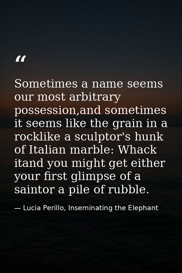 Sometimes a name seems our most arbitrary possession,and sometimes it seems like the grain in a rocklike a sculptor's hu — Lucia Perillo, Inseminating the Elephant