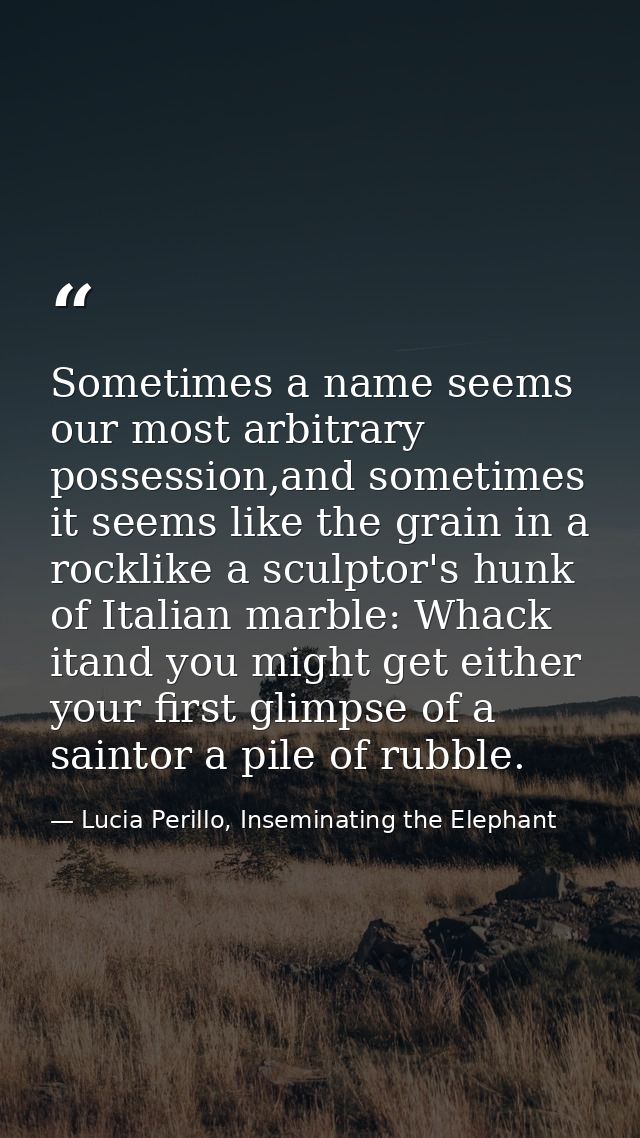 Sometimes a name seems our most arbitrary possession,and sometimes it seems like the grain in a rocklike a sculptor's hu — Lucia Perillo, Inseminating the Elephant