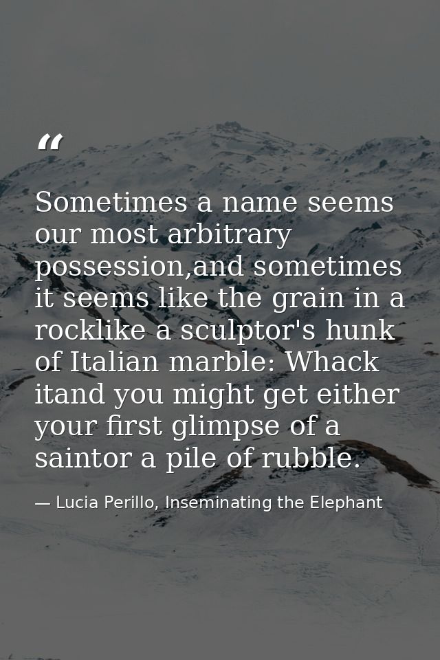 Sometimes a name seems our most arbitrary possession,and sometimes it seems like the grain in a rocklike a sculptor's hu — Lucia Perillo, Inseminating the Elephant