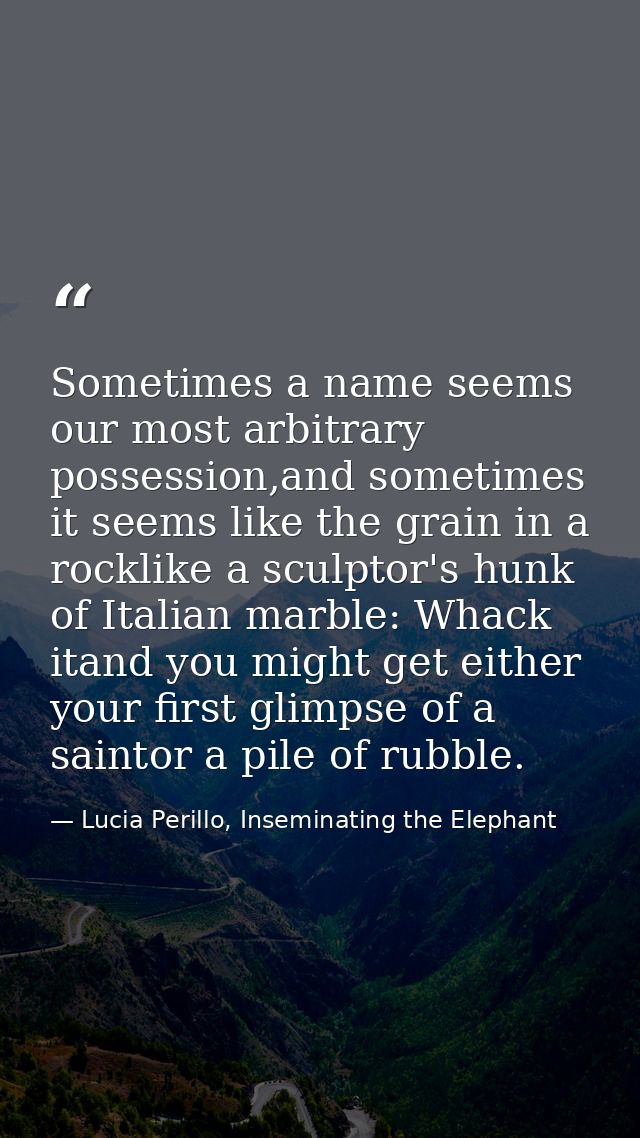Sometimes a name seems our most arbitrary possession,and sometimes it seems like the grain in a rocklike a sculptor's hu — Lucia Perillo, Inseminating the Elephant